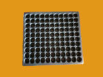 Seedling Tray