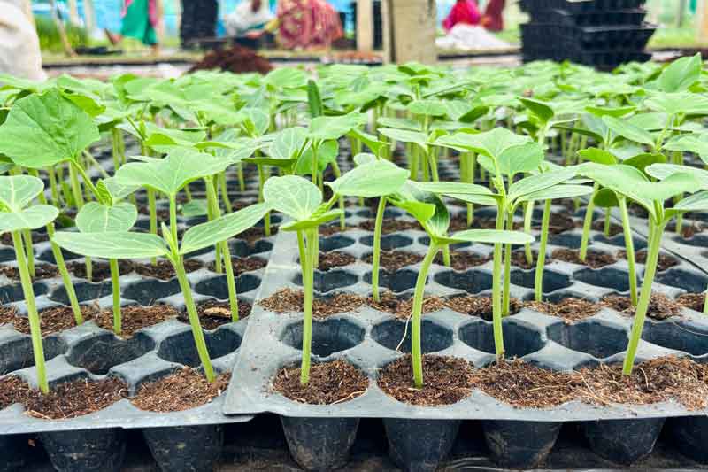 Untitled-design-(30)